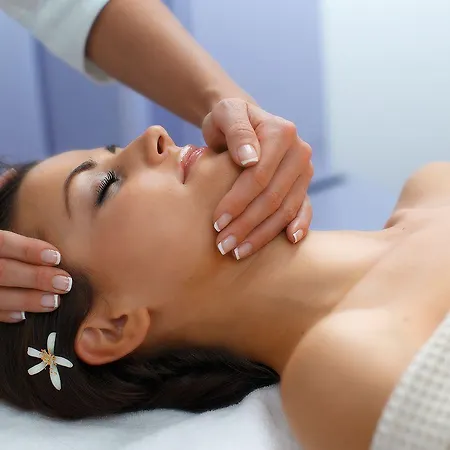 Terme - Vesna 호텔 3*