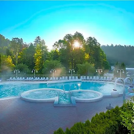 Terme - Vesna Hotel Topolšica