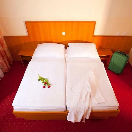Hotel Terme - Vesna 3*