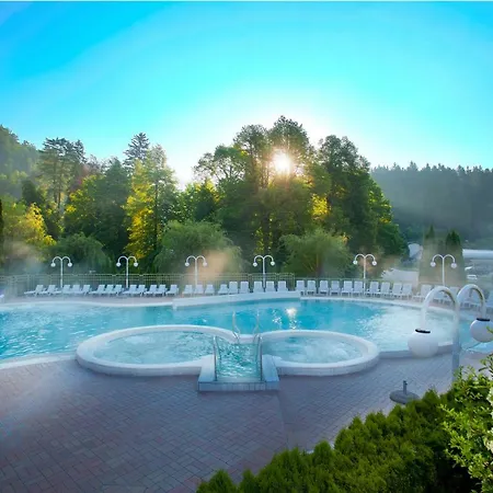 Terme - Vesna Hotel Topolšica