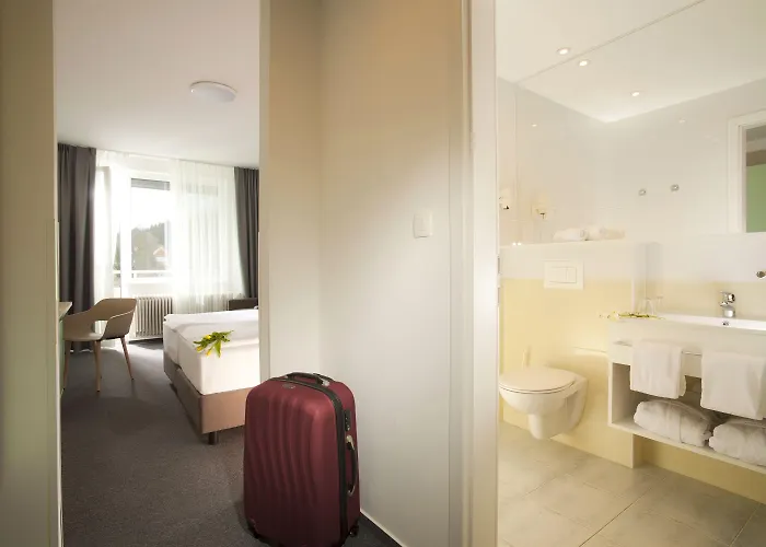 Terme - Vesna 3* Topolšica