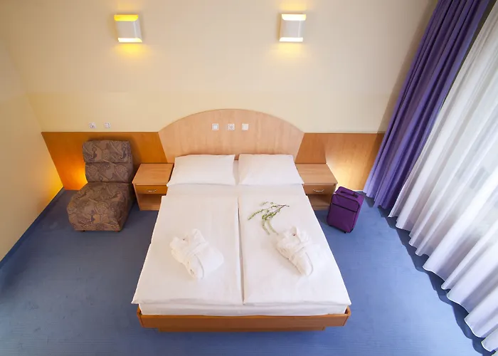 Terme - Vesna 3* Topolšica