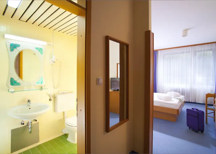 Hotel Terme - Vesna Topolšica