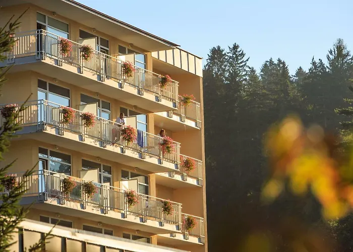 Terme - Vesna Hotel Topolšica