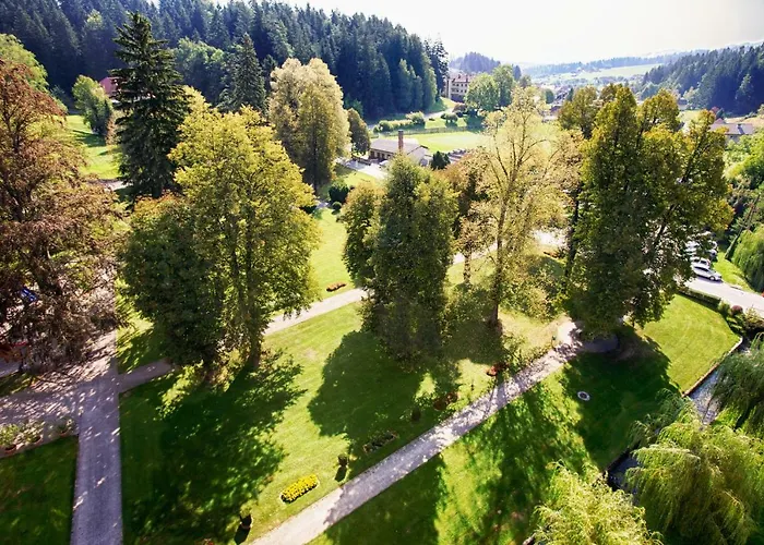 Terme - Vesna Topolšica