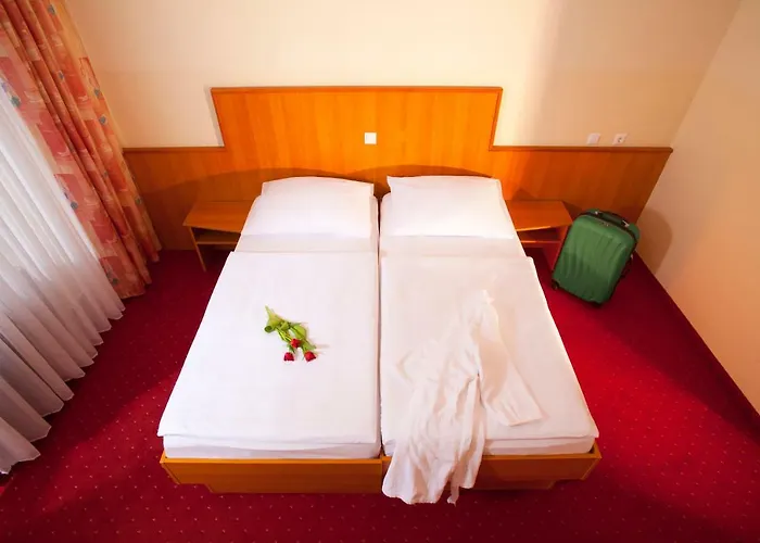 Hotel Terme - Vesna 3*