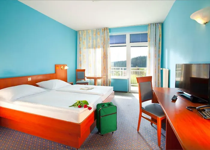 Hotel Terme - Vesna 3*